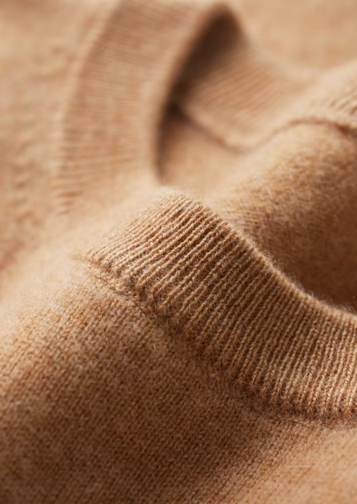 MAISON CASHCRAFT™ CLASSIC CREWNECK T-SHIRT